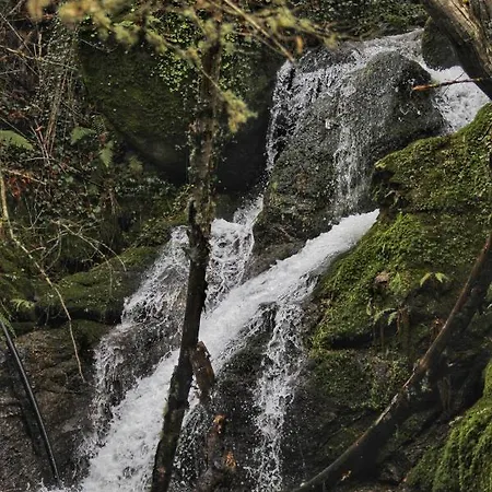 Glamping Hills Lyxtält 2*