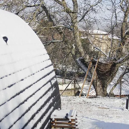 Glamping Hills