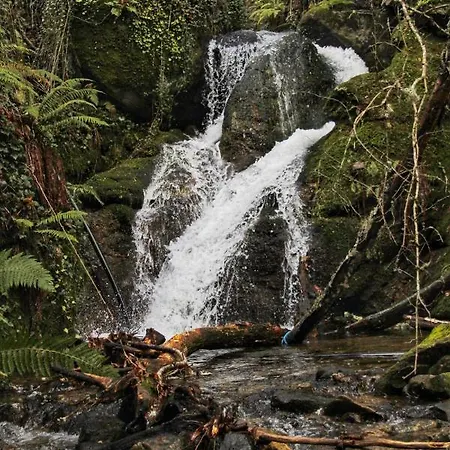 Glamping Hills Luxusní stan 2*
