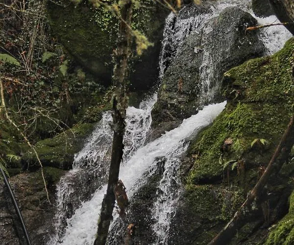 Glamping Hills Luxusní stan 2*