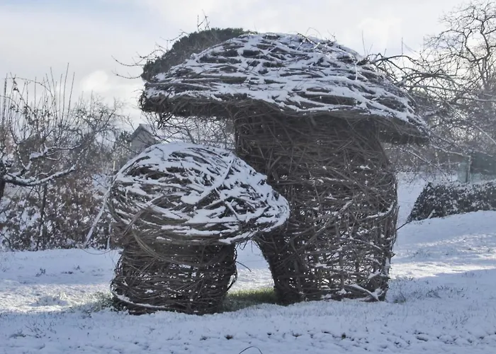 Glamping Hills Santa Comba de Rossas