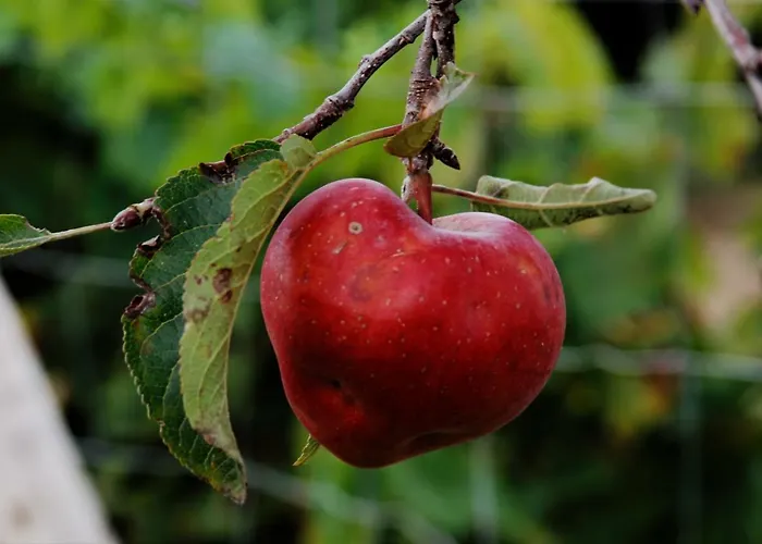 Luxusní stan Glamping Hills
