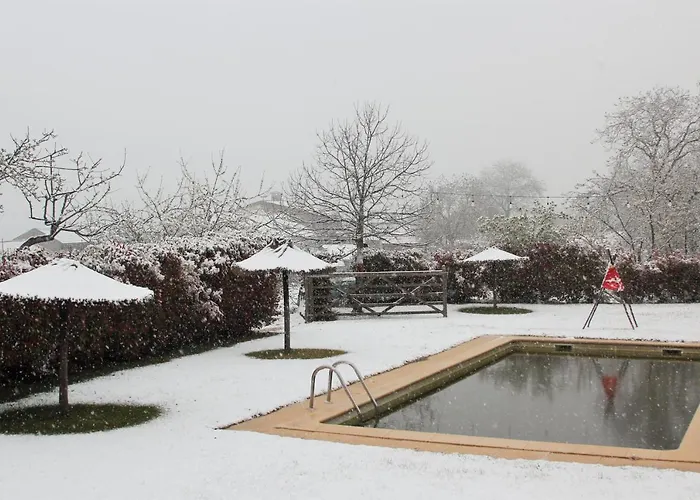 Glamping Hills 럭셔리텐트 2*